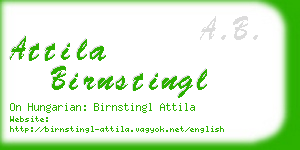 attila birnstingl business card